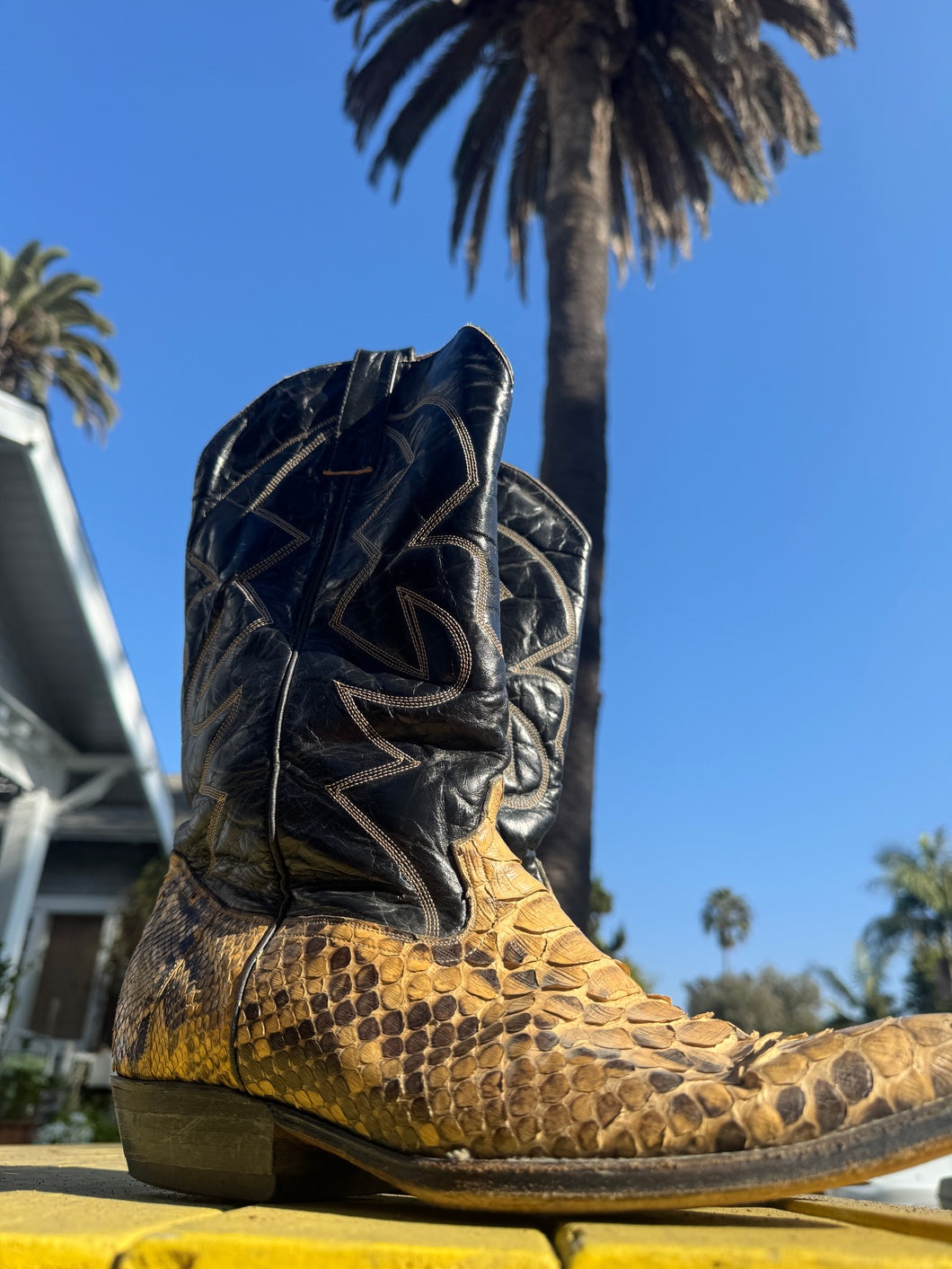 Snakeskin Cowboy Boots -Size 11.5