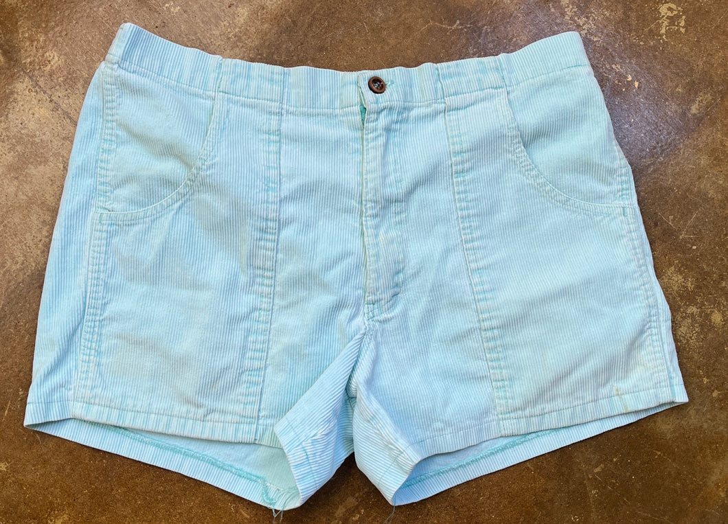 Vintage 1970s Weeds Blue  Corduroy Shorts
