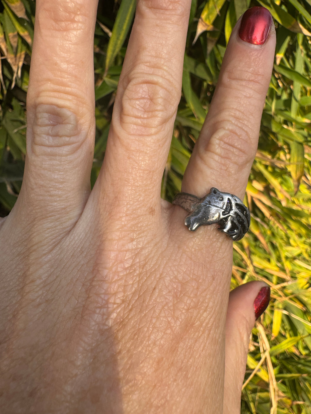 Horse Ring