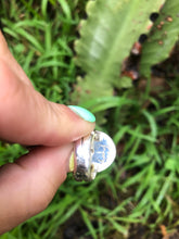 Load image into Gallery viewer, Turquoise Spiny Oyster Mushroom Rings
