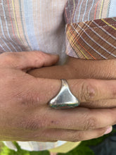 Load image into Gallery viewer, Crushed Stone Eye Ring
